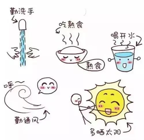 6.webp